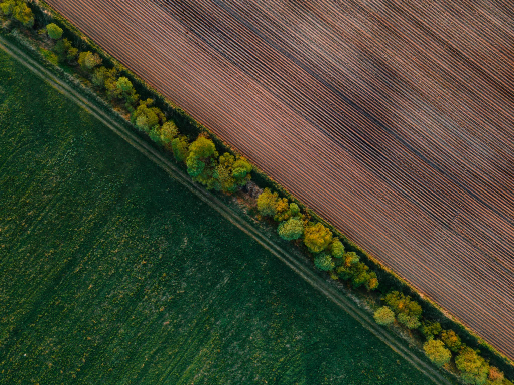 Aerial view of contrasting farmland and lush green meadows divided by trees, showcasing agricultural patterns.